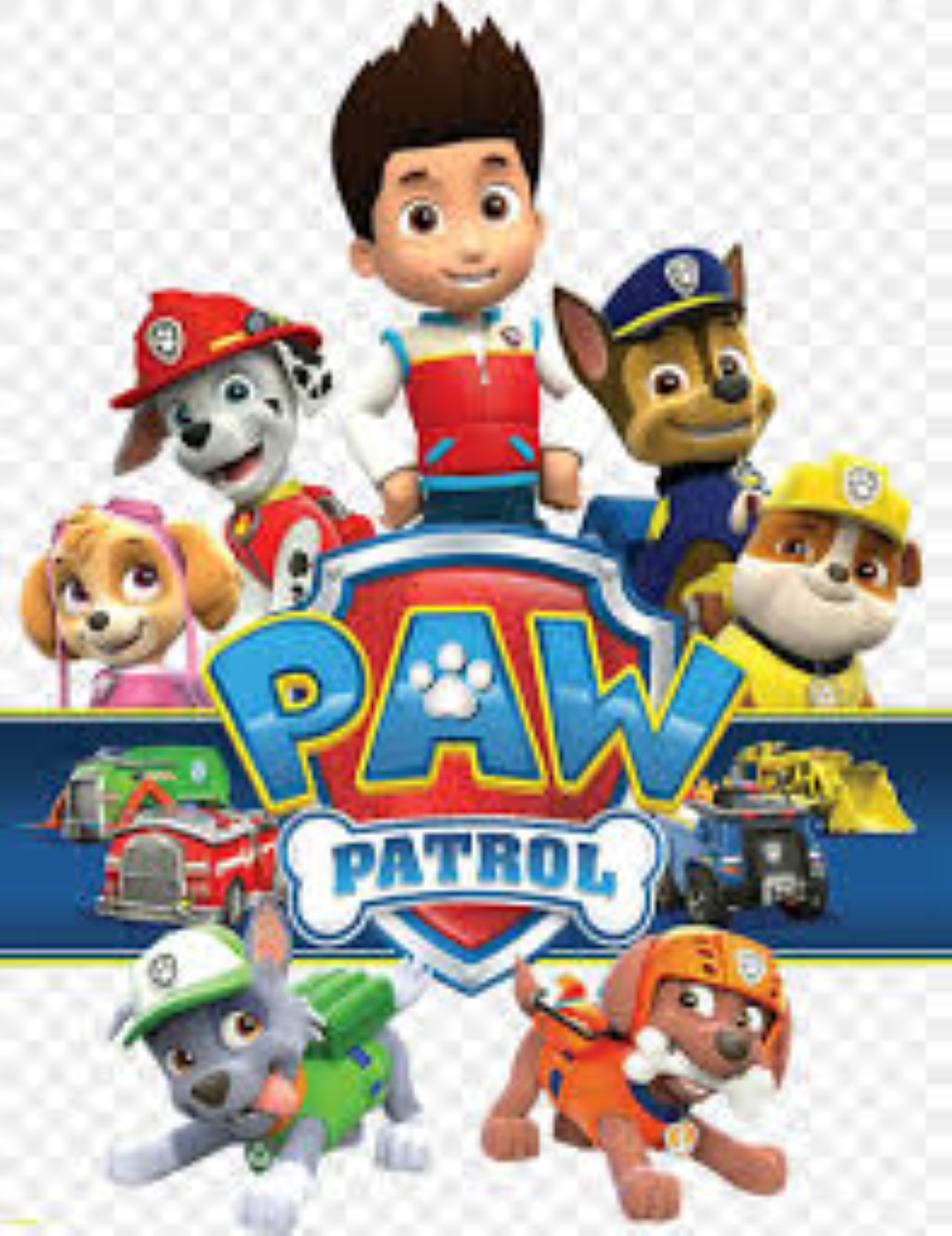 PAW PETROL A172270 800028